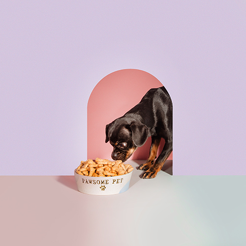 Gifts for Animal Lovers